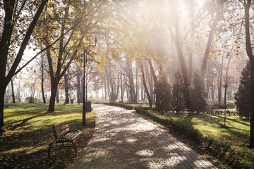 Plakat View of autumn park