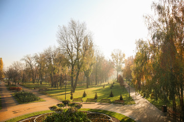 View of autumn park