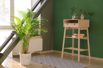 Interior of modern room with decorative Areca palm in pot