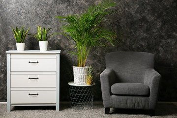 Interior of modern room with decorative Areca palm in pot