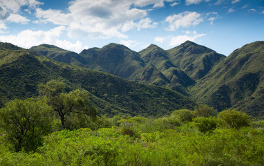 Fototapeta na wymiar Nature park Valle Fertil