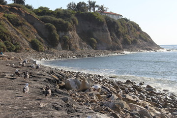 Maluga Cove Palos Verdes