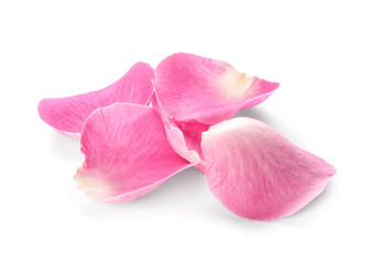 Beautiful rose petals on white background