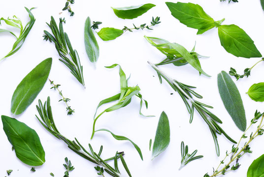 Food Background, Herbs And Spices On White Background