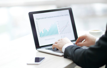 Fototapeta premium businessman working on laptop with financial documents