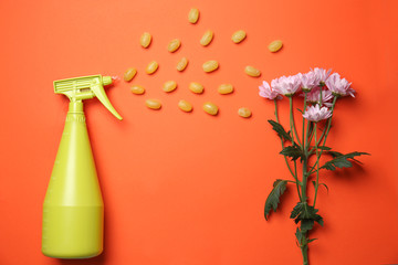 Creative composition with spray, flowers and grapes on color background