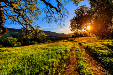 Country Road, Dutra Valley, San Luis Obispo County, CA