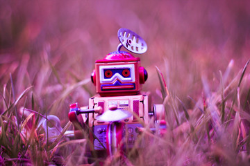 Retro vintage clockwork toy robot stands in the pink grass