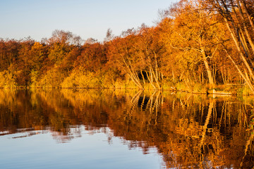 Autumn trees reflecting in lake