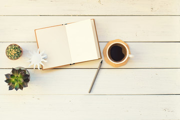 Succulents cactus, echeveria, diary notebook and cup of coffee with pencil on white natural wooden...