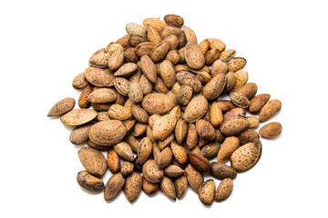 Almond isolated on white