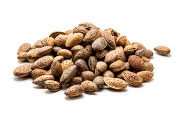 Almond isolated on white