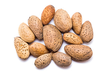 Almond isolated on white