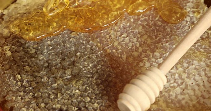 Organic Raw Golden Honey Comb With Wooden Spoon Pouring