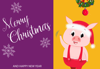 Creative poster design with piglet. Merry Christmas and Happy New Year inscription with piglet in jump suit and Christmas wreath on yellow and purple background. Can be used for postcards, invitations