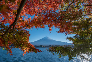 asia,autumn,autumn fuji,autumn japan,autumn tokyo,background,beautiful,blossom,blue,cherry,cherry blossom tree,fog,fuji mountain,fuji mountain vector,fuji temple,hokkaido,japan ginko,japanese,kyoto,