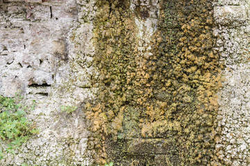 Textured stone wall overgrown with moss