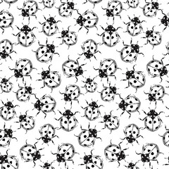 Seamless pattern made of hand drawn ladybugs.