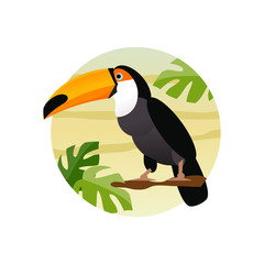 Toucan bird vector