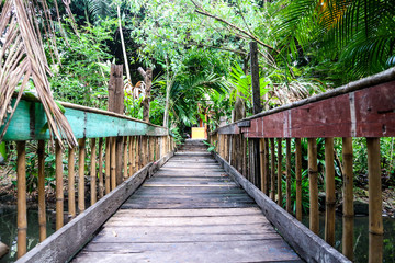 Old wooden suspension bridge used to cross the stream. The trees plants are full