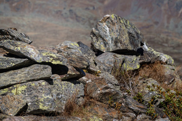 rocks in the mountains