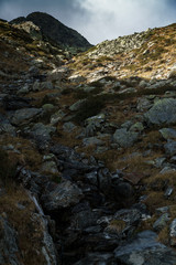 Fototapeta na wymiar rocks in the water in the mountains