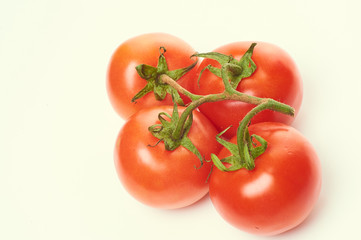 fresh tomatoes isolated on light background
