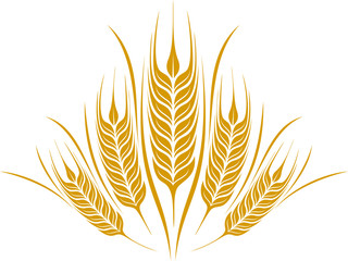 Grain vector illustration