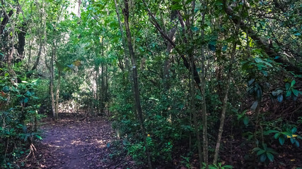 Martinique is a nice caribbean island