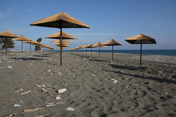 beach umbrellas #5