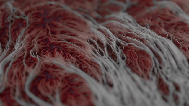 4K Abstract Tissue. Seamless Loop