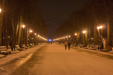 Park in the evening or at night with benches in winter, twilight