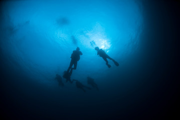 Scuba Divers from below in the blue Water with sun in the background