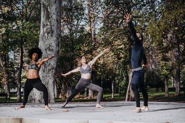 Fototapeta premium Group of people who practice yoga in the park