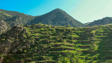 Gardens in the mountains