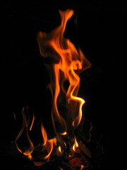 Fototapeta premium Flame