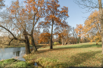 Pushkin Autumn