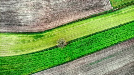Winterliche Felder in Franken. Abendlicht im Dezember.