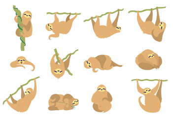 Fototapeta premium Vector illustration set of cute character sloth