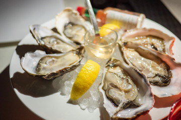 Tasty fresh shucked oysters on plate. Raw oysters are packed with nutrition, high in calcium, potassium, magnesium, vitamin and mineral. Flavor are sweet and refreshing. Believed to be an aphrodisiac.