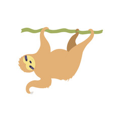 Vector illustration of cute character sloth