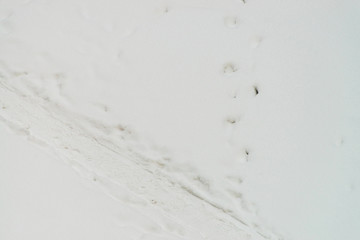 Traces of shoes on clean white snow. Track of boots on snowdrift. Textured winter background of snowy footpath. Snow covered road with copy space. Abstract minimalist snowy weather texture.