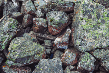 Multicolored boulder stream. Loose rock close up. Water under randomly scattered stones. Amazing detailed background of highlands boulders with mosses and lichens. Natural texture of mountain terrain.