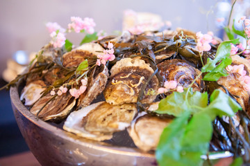 Tasty fresh oysters with flower decorate. Raw oysters are packed with nutrition, high in calcium, potassium, magnesium, vitamin and mineral. Flavor are sweet and refreshing. Believed to be aphrodisiac