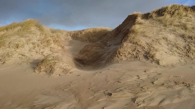 Sandverwehung in der d&auml;nischen D&uuml;nenlandschaft