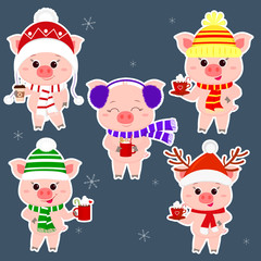 A set of five stickers of pigs in different hats and a scarf with cups of different hot drinks in a white stroke. Happy New Year and Merry Christmas. The symbol of the Chinese New Year. Vector