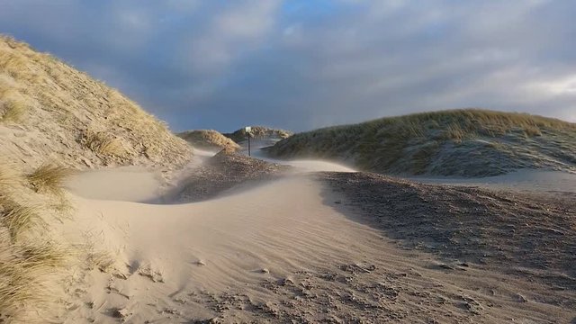 Sandsturm am d&auml;nischen Nordseestrand