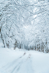 view of empty winter trail covered by snow