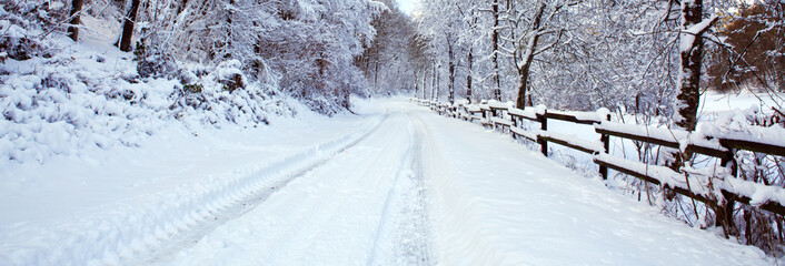 Winter trees and road in german forest with snow.