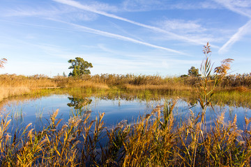 Panoramic view of a bird observatory, in the wetlands natural park La Marjal in Pego and Oliva, Spain